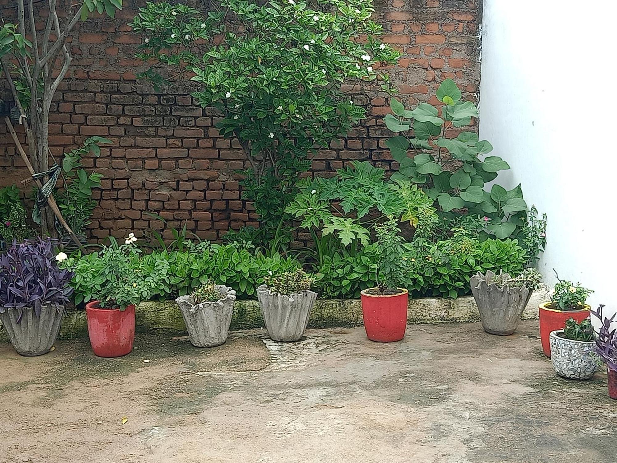 Khajuraho Rancho Daire Dış mekan fotoğraf