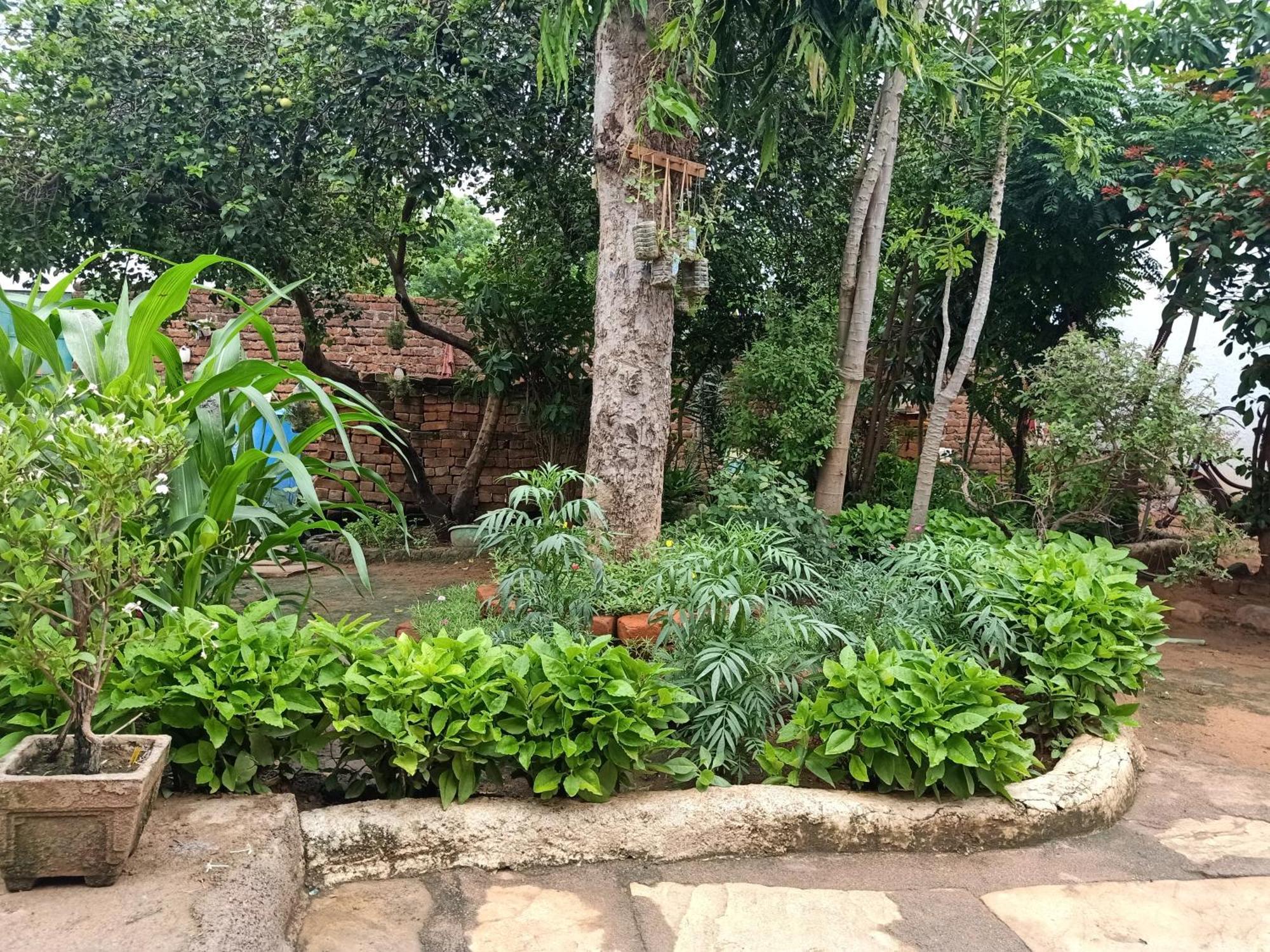 Khajuraho Rancho Daire Dış mekan fotoğraf