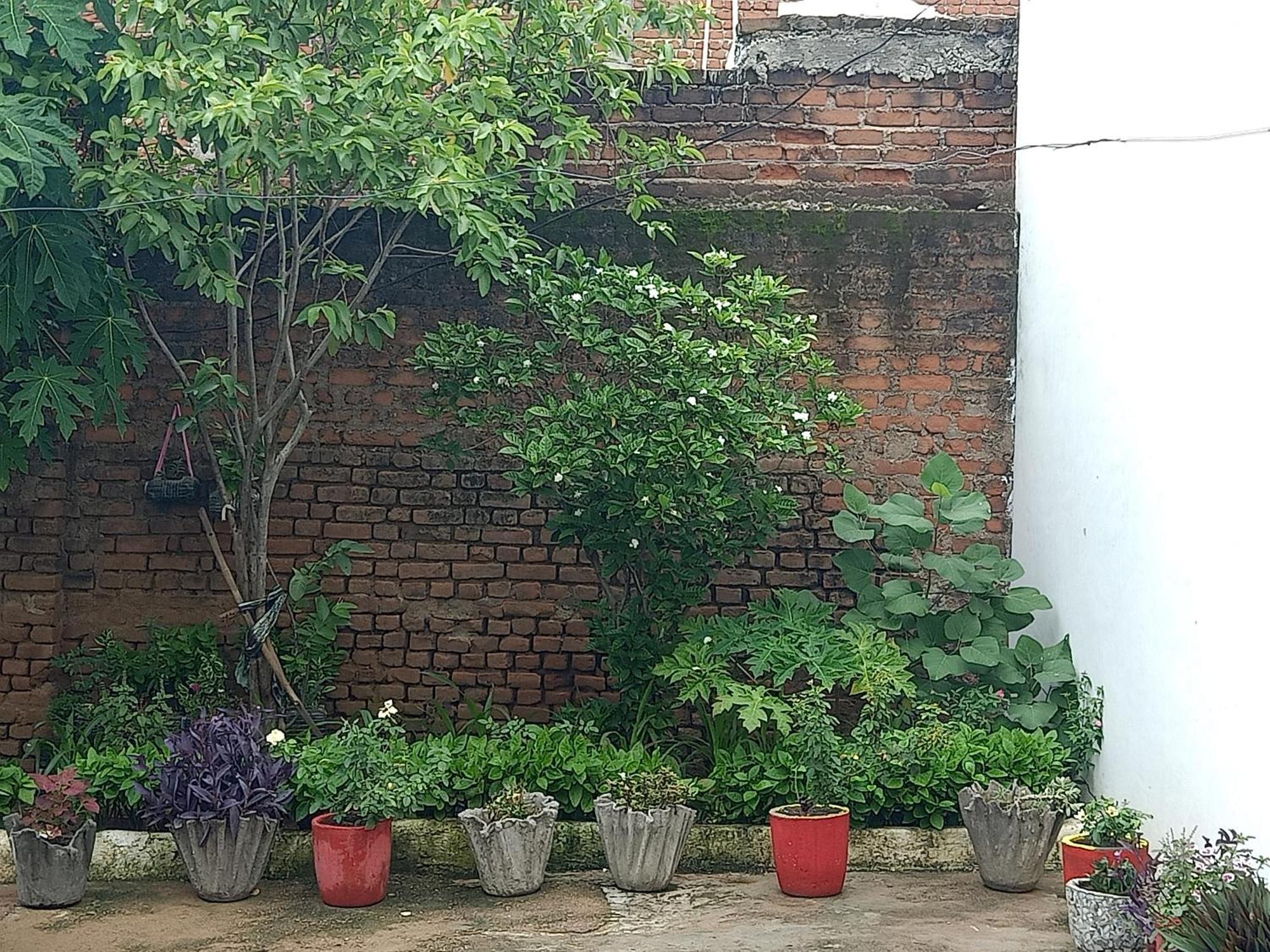 Khajuraho Rancho Daire Dış mekan fotoğraf