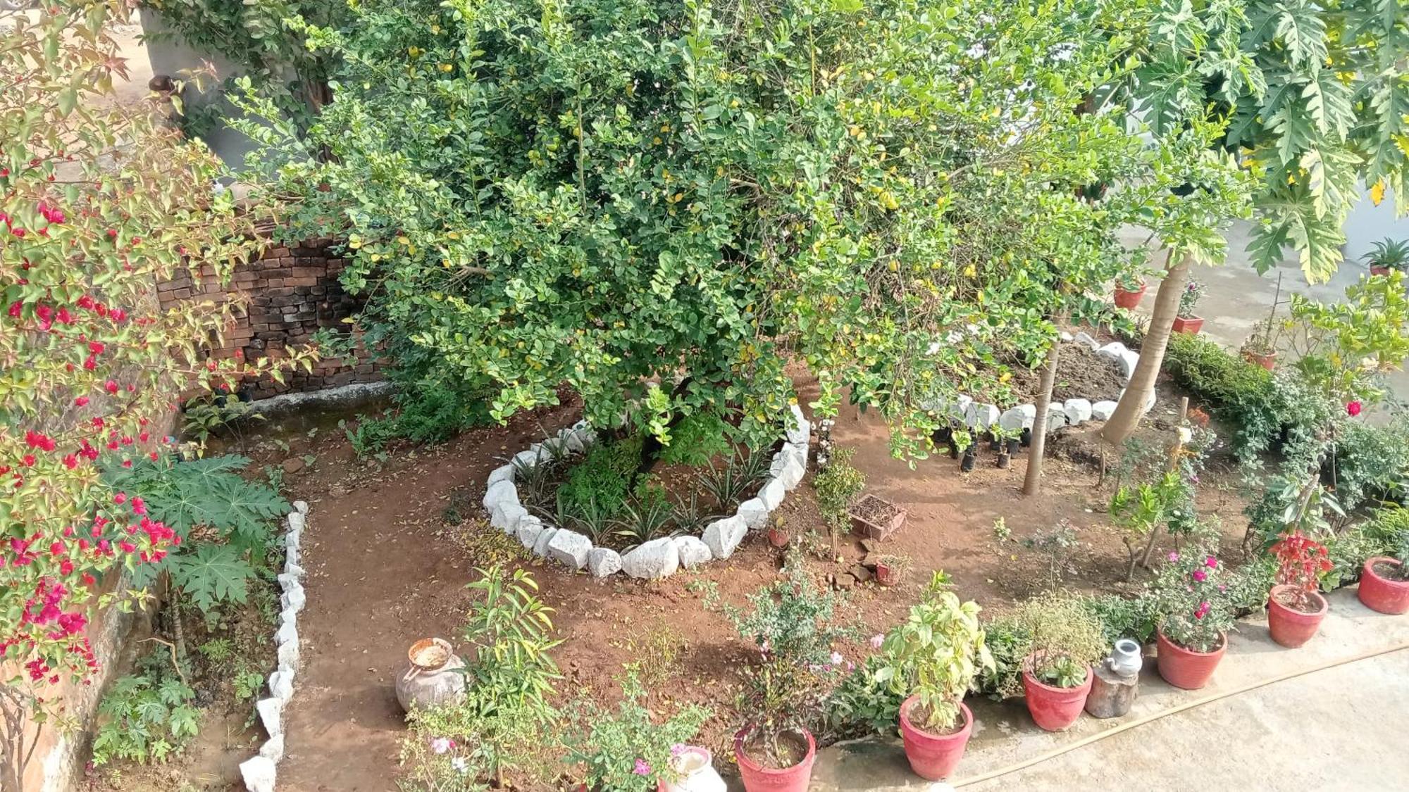 Khajuraho Rancho Daire Dış mekan fotoğraf